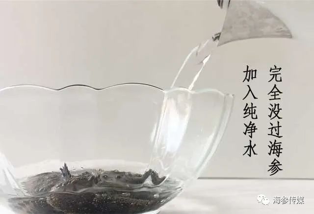 海參泡發(fā)很簡(jiǎn)單，牢記“泡—煮—泡”